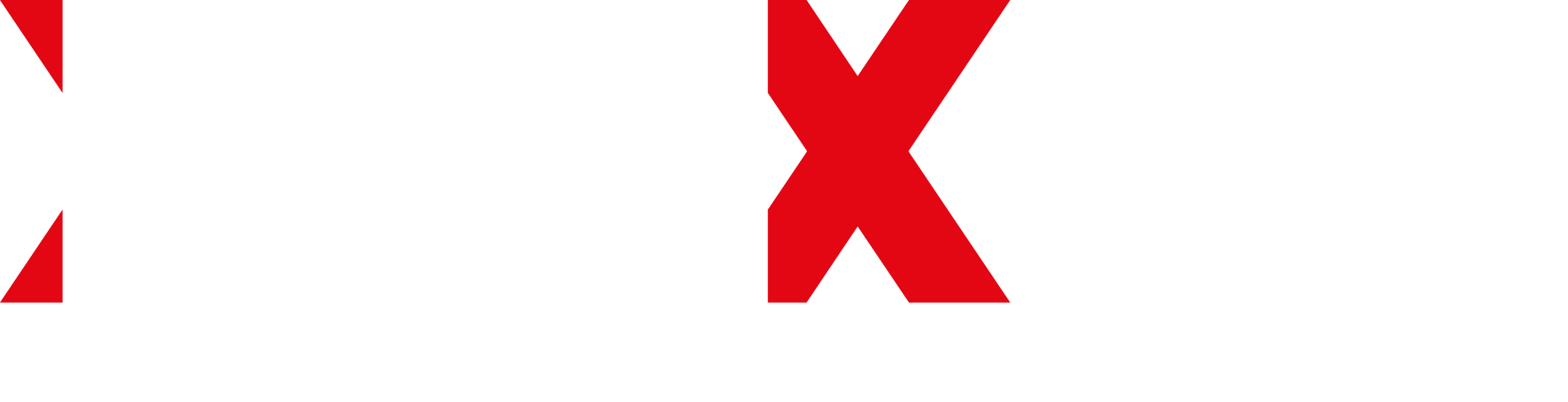 Logo INEXCO GROUPE_blanc_RVB